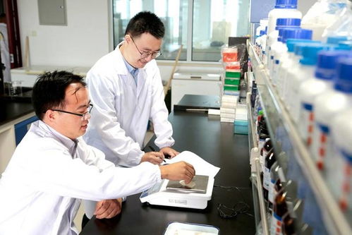 了不起的貓咪博士技術(shù)服務(wù)站成立 引領(lǐng)食養(yǎng)寵貓新潮流